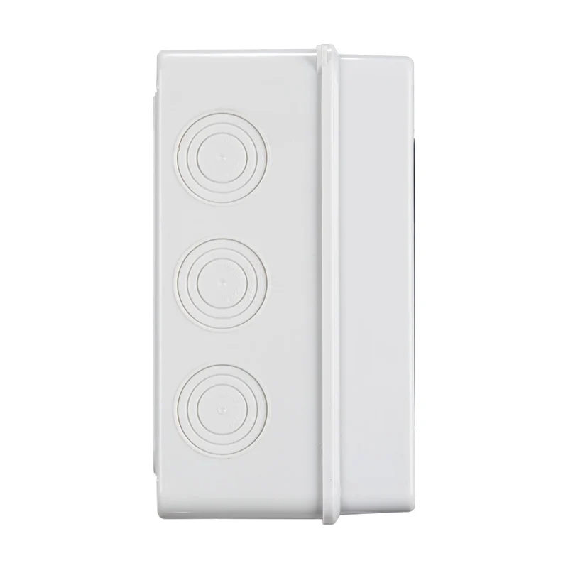 Coffret électrique étanche 12 modules IP65 en saillie – Image 4